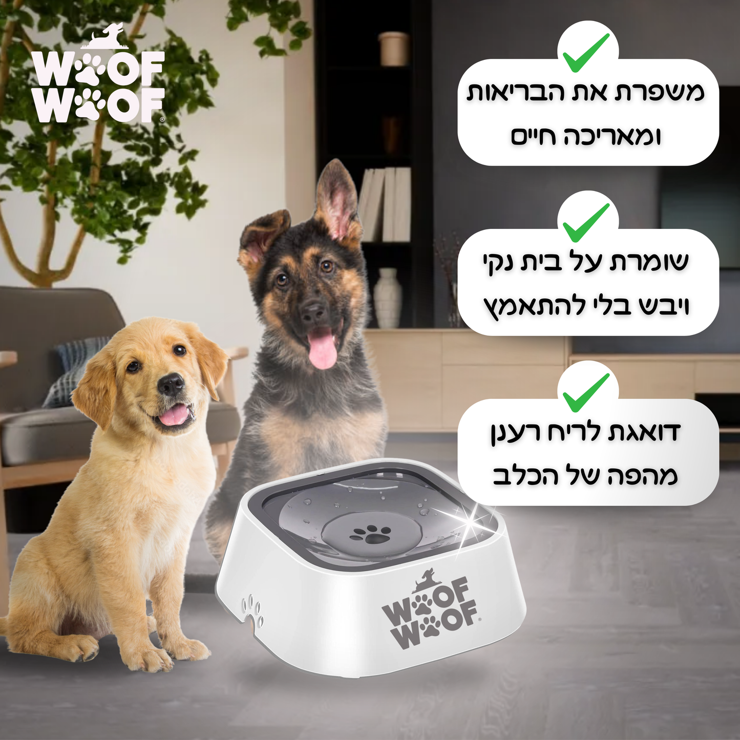 קערת מים חכמה