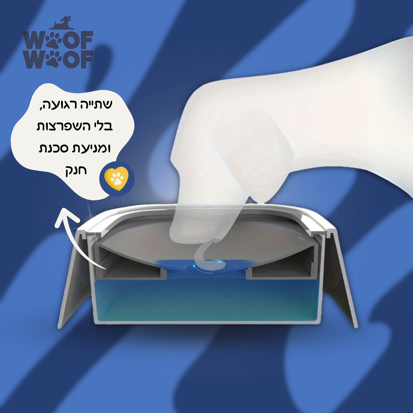 קערת מים חכמה