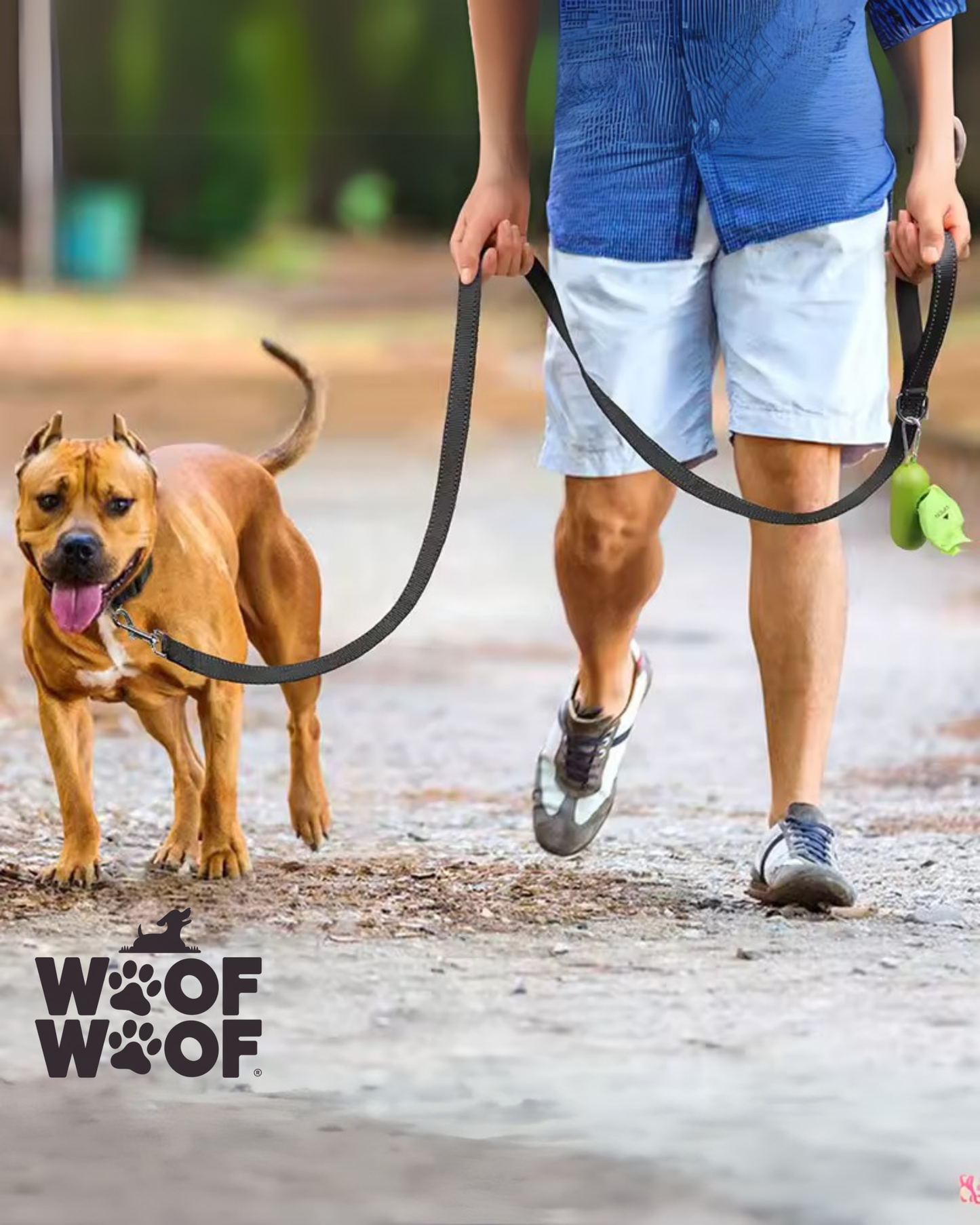 המארז הבריא של WOOF WOOF