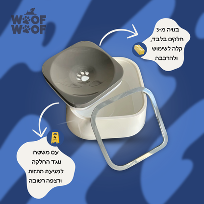 קערת מים חכמה